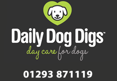 Daily Dog Digs logo