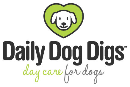 Daily deals dog digs